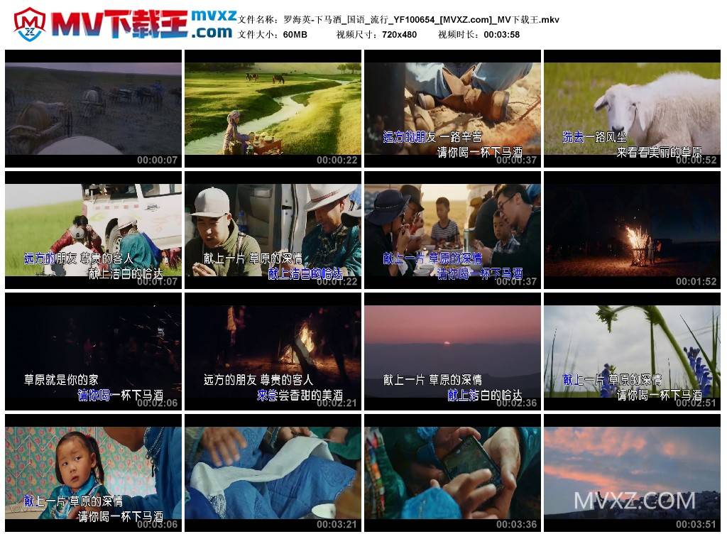 罗海英-下马酒_国语_流行_YF100654